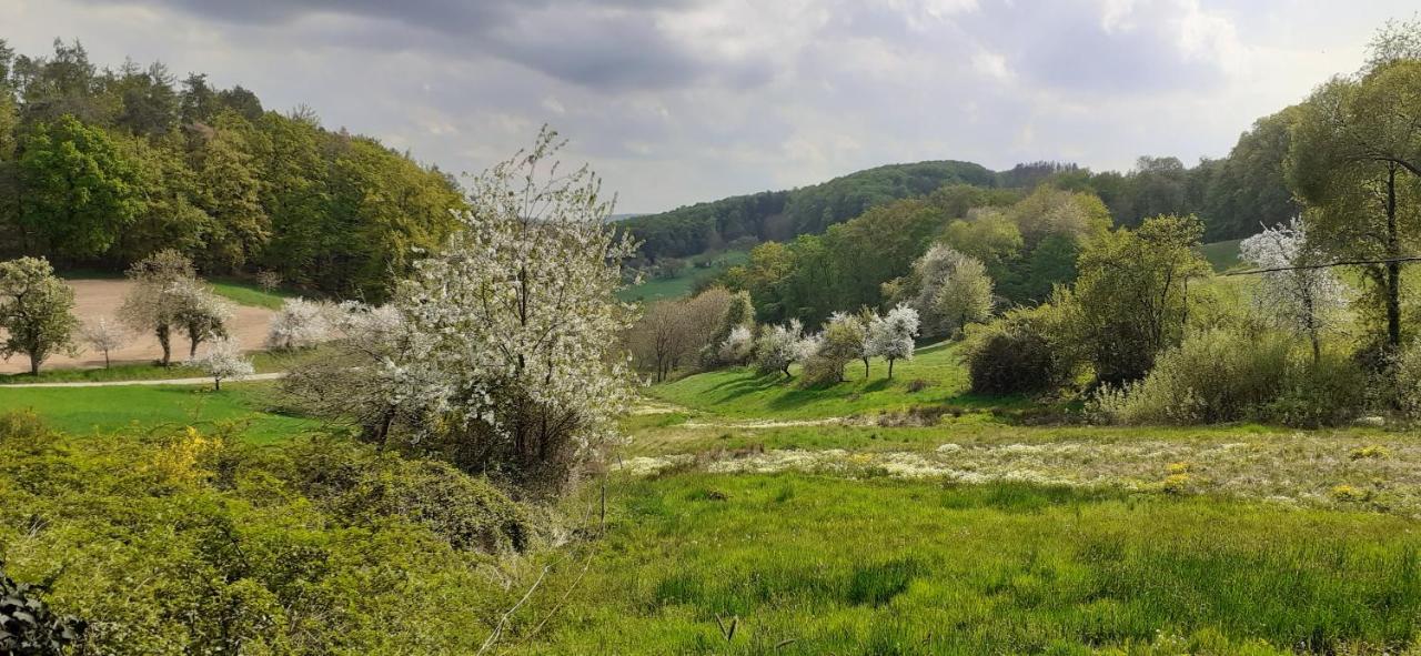 Odenwald Lounge Villa Reichelsheim Екстериор снимка