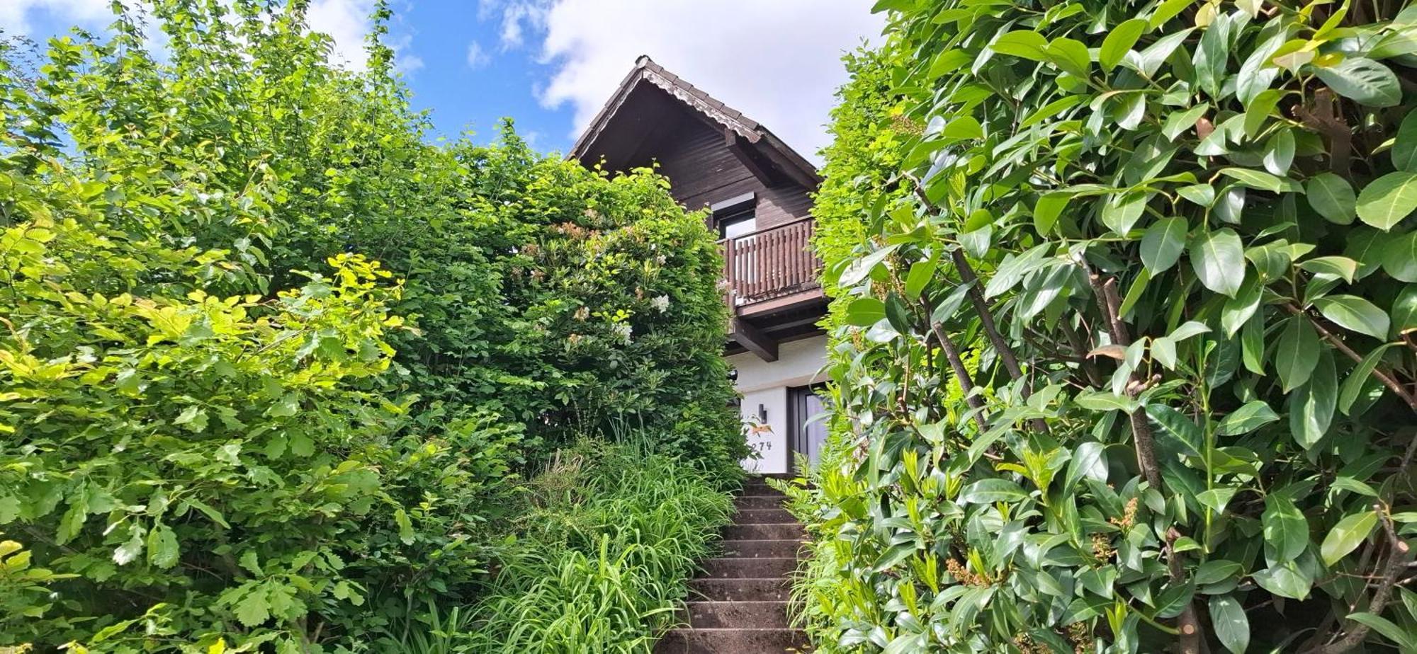 Odenwald Lounge Villa Reichelsheim Екстериор снимка